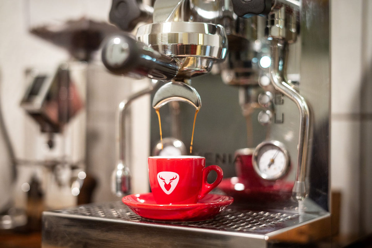 ROTWILD Espresso Cup