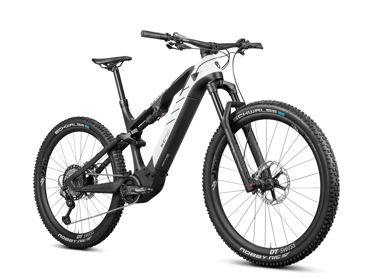 Rotwild R.C750 Ultra Gr.L Modell 2023 gebraucht