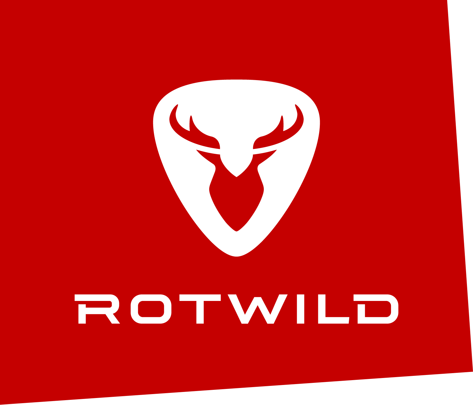 Rotwild Carbon Flaschenhalter